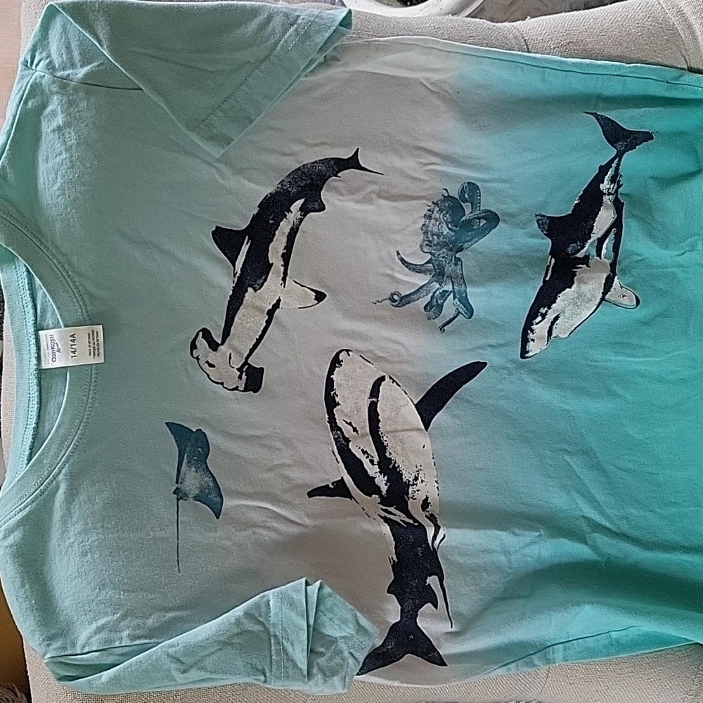 Ombre shark t-shirt, Boys 14